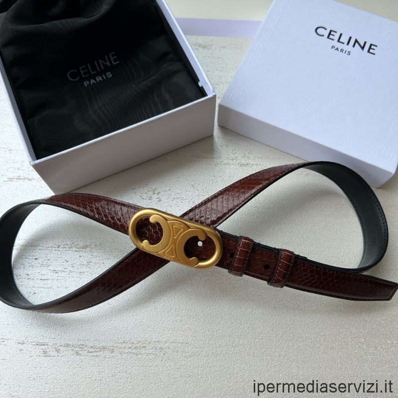 Replica Celine Triomphe Cintura In Pelle Di Pitone Bordeaux 25mm