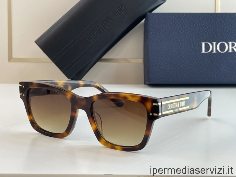 Replika Dior Replika Slunečních Brýlí Dsgts3ucr Hnědá